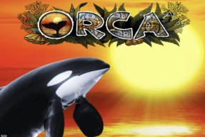 orca